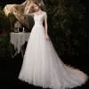 Affordable Champagne Outdoor / Garden Wedding Dresses 2020 A-Line / Princess See-through High Neck Sleeveless Backless Lace Appliques Beading Tassel Sweep Train Ruffle