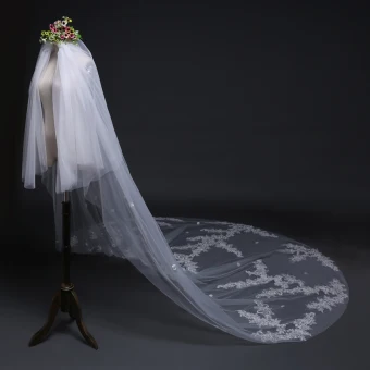 Modern Fashion White Wedding Veils 2017 Tulle Lace Embroidered Appliques Wedding