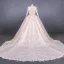 Illusion Champagne See-through Bridal Wedding Dresses 2020 Ball Gown Deep V-Neck Long Sleeve Backless Appliques Lace Beading Cathedral Train Ruffle