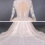 Illusion Champagne See-through Bridal Wedding Dresses 2020 Ball Gown Deep V-Neck Long Sleeve Backless Appliques Lace Beading Cathedral Train Ruffle