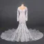Illusion Champagne Summer Bridal Wedding Dresses 2020 Trumpet / Mermaid See-through Scoop Neck Long Sleeve Appliques Lace Beading Chapel Train Ruffle