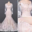 Luxury / Gorgeous Champagne See-through Bridal Wedding Dresses 2020 Trumpet / Mermaid Scoop Neck Long Sleeve Backless Appliques Lace Court Train Ruffle