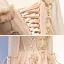 Vintage / Retro Champagne Prom Dresses 2020 A-Line / Princess See-through High Neck Long Sleeve Beading Glitter Tulle Floor-Length / Long Ruffle Backless Formal Dresses
