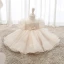 Elegant Blushing Pink Organza Birthday Flower Girl Dresses 2020 Princess Scoop Neck Puffy Short Sleeve Appliques Lace Beading Bow Short Ruffle Wedding Party Dresses