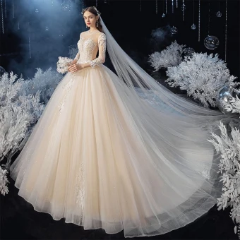 Romantique Champagne La Mariée Robe De Mariée 2020 Robe Boule Transparentes Col Haut 3 4 Manches Dos Nu Appliques En Dentelle Perlage Glitter Tulle Cathedral Train Volants