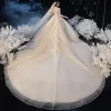 Vintage / Retro Champagne See-through Bridal Wedding Dresses 2020 Ball Gown High Neck Long Sleeve Backless Beading Appliques Lace Glitter Tulle Cathedral Train Ruffle