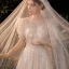 Style Victorien Champagne Jardin / Extérieur Robe De Mariée 2020 Princesse Transparentes Encolure Dégagée Gonflée Manches Courtes Dos Nu Perlage Paillettes Train De Balayage Volants