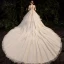 Luxus / Herrlich Champagner Durchsichtige Hochzeits Brautkleider / Hochzeitskleider 2020 Ballkleid Stehkragen Ärmellos Rückenfreies Handgefertigt Pailletten Perlenstickerei Perle Glanz Tülle Königliche Schleppe Rüschen