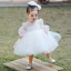Victorian Style White See-through Flower Girl Dresses 2020 Princess Scoop Neck Puffy Long Sleeve Beading Bow Short Wedding Party Dresses