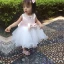 Lovely Blushing Pink Birthday Flower Girl Dresses 2020 Ball Gown Scoop Neck Sleeveless Bow Short Wedding Party Dresses