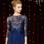 Illusion Bleu Marine Transparentes Tapis rouge Robe De Soirée 2020 Princesse Encolure Dégagée 3/4 Manches Plumes Ceinture Perlage Longue Volants Robe De Ceremonie