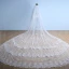Simple Blanche 2017 Tulle En Dentelle Mariage Appliques Voile De Mariée