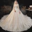 High-end Champagne Bridal Wedding Dresses 2020 Ball Gown See-through Scoop Neck Long Sleeve Backless Appliques Lace Beading Glitter Tulle Cathedral Train Ruffle