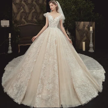 Romantic Champagne Bridal Wedding Dresses 2020 Ball Gown See Through Square Neckline Short Sleeve Backless Flower Appliques Lace Beading Glitter Tulle Cathedral Train