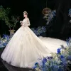 High-end Champagne See-through Bridal Wedding Dresses 2020 Ball Gown High Neck 3/4 Sleeve Appliques Lace Sequins Beading Cathedral Train Ruffle