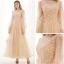 Style Victorien Champagne Transparentes Dansant Robe De Bal 2021 Princesse Encolure Dégagée Gonflée Manches Longues Appliques En Dentelle Longue Volants Robe De Ceremonie