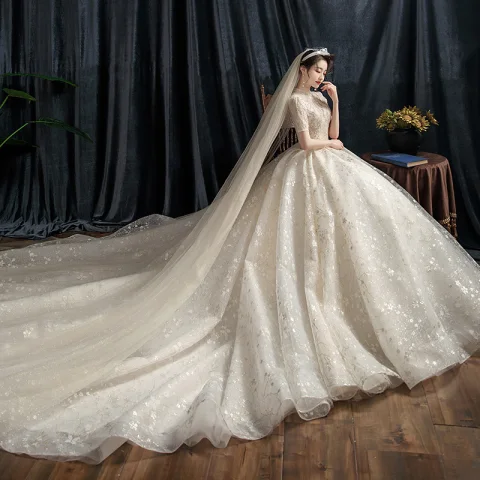 Vintage Champagner Durchsichtige Hochzeits Brautkleider / Hochzeitskleider 2021 Ballkleid Stehkragen Kurze Ärmel Rückenfreies Applikationen Spitze Perlenstickerei Pailletten Kathedrale Schleppe Rüschen