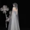 Charming Grey Dancing Prom Dresses With Cloak 2021 A-Line / Princess Strapless Sleeveless Appliques Lace Beading Sequins Glitter Tulle Floor-Length / Long Ruffle Backless Formal Dresses