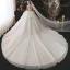 Illusion Champagne La Mariée Robe De Mariée 2021 Robe Boule Transparentes Encolure Dégagée Manches Courtes Dos Nu Paillettes Perlage Glitter Tulle Cathedral Train Volants