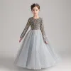 Sparkly Grey Birthday Flower Girl Dresses 2021 Ball Gown Scoop Neck Long Sleeve Sequins Floor-Length / Long Ruffle