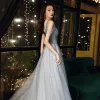 Bling Bling Grey Prom Dresses 2021 A-Line / Princess Deep V-Neck Sleeveless Beading Rhinestone Glitter Tulle Sweep Train Ruffle Backless Formal Dresses