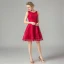 Chic / Beautiful Red Lace Homecoming Graduation Dresses 2021 A-Line / Princess Short Sleeve Square Neckline Short Ruffle Formal Dresses