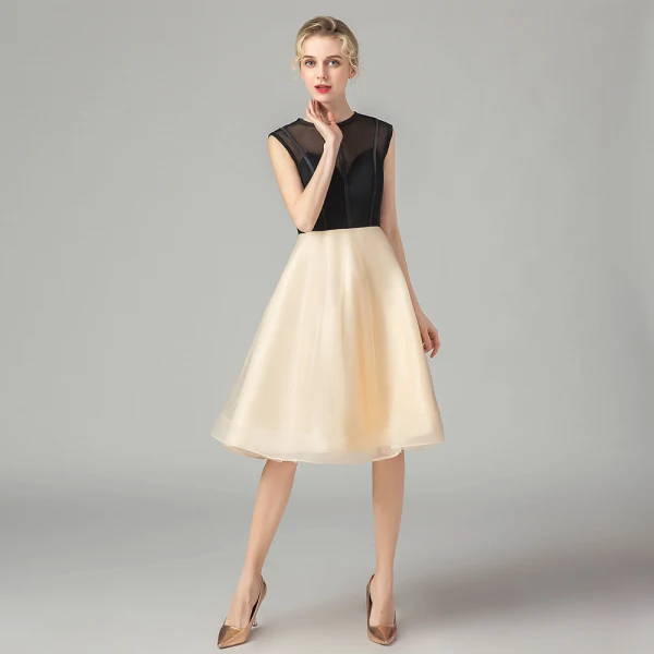 Two Tone Black Champagne See-through Homecoming Graduation Dresses 2021 A-Line / Princess Scoop Neck Sleeveless Knee-Length Ruffle Formal Dresses