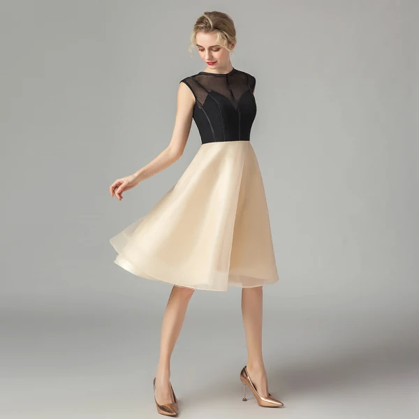 Two Tone Black Champagne See-through Homecoming Graduation Dresses 2021 A-Line / Princess Scoop Neck Sleeveless Knee-Length Ruffle Formal Dresses