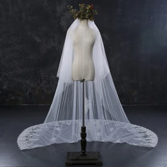 Chic Beautiful White Wedding Veils 2017 Lace Tulle Appliques Embroidered Wedding