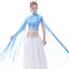 Chinese style Pool Blue Chiffon Evening Dresses  2020 A-Line / Princess High Neck Short Sleeve Printing Flower Appliques Lace Sequins Tassel Floor-Length / Long Ruffle Formal Dresses