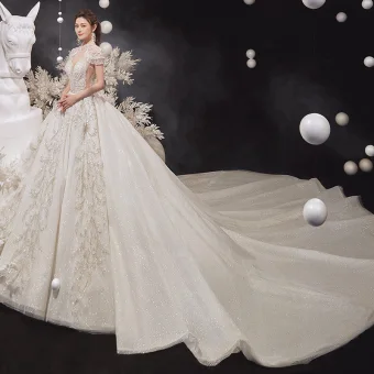Luxury Gorgeous Champagne See Through Bridal Wedding Dresses 2020 Ball Gown High Neck Short Sleeve Appliques Lace Beading Tassel Glitter Tulle Cathedral Train