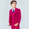 Modest / Simple Royal Blue Tie Fuchsia Boys Wedding Suits 2020