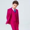 Modest / Simple Royal Blue Tie Fuchsia Boys Wedding Suits 2020