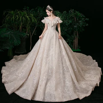 Élégant Champagne Transparentes La Mariée Robe De Mariée 2020 Robe Boule Encolure Carrée Manches Courtes Dos Nu Appliques En Dentelle Glitter Tulle Perlage Cathedral Train Volants
