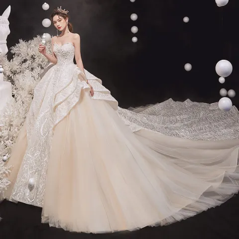 Luxe Champagne Bruids Trouwjurken 2020 Baljurk Geliefde Mouwloos Ruglooze Glans Tule Appliques Kant Kralen Royal Train Ruche