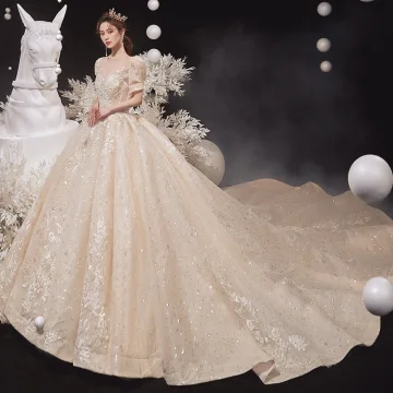 Style Victorien Champagne Transparentes La Mariée Robe De Mariée 2020 Robe Boule Encolure Dégagée Gonflée Manches Courtes Dos Nu Appliques En Dentelle Paillettes Perlage Cathedral Train Volants