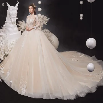 Illusion Champagne See Through Bridal Wedding Dresses 2020 Ball Gown High Neck Long Sleeve Backless Glitter Tulle Appliques Lace Beading Cathedral Train Ruffle