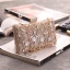 Mode Champagne Rhinestone Vierkante Handtassen 2020