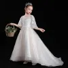 Victorian Style Champagne See-through Flower Girl Dresses 2020 Ball Gown Scoop Neck Puffy 3/4 Sleeve Appliques Lace Sequins Sweep Train