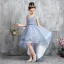 High Low Sky Blue Birthday Flower Girl Dresses 2020 A-Line / Princess V-Neck Sleeveless Appliques Lace Bow Sash Asymmetrical