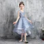 High Low Sky Blue Birthday Flower Girl Dresses 2020 A-Line / Princess V-Neck Sleeveless Appliques Lace Bow Sash Asymmetrical