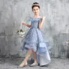 High Low Sky Blue Birthday Flower Girl Dresses 2020 A-Line / Princess Off-The-Shoulder Short Sleeve Backless Appliques Lace Bow Sash Asymmetrical Ruffle