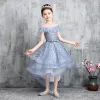 High Low Sky Blue Birthday Flower Girl Dresses 2020 A-Line / Princess Off-The-Shoulder Short Sleeve Backless Appliques Lace Bow Sash Asymmetrical Ruffle