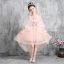 High Low Pearl Pink Flower Girl Dresses 2020 A-Line / Princess See-through Scoop Neck 1/2 Sleeves Appliques Lace Beading Asymmetrical Ruffle