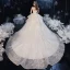 Romantic Champagne Bridal Wedding Dresses 2020 Ball Gown Spaghetti Straps Sleeveless Backless Leaf Appliques Lace Sequins Beading Cathedral Train Ruffle