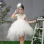 Mode Blanche Transparentes Anniversaire Robe Ceremonie Fille 2020 Robe Boule Encolure Dégagée Sans Manches Perlage Asymétrique Volants en Cascade
