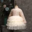 Affordable Champagne Birthday Flower Girl Dresses 2020 Ball Gown Scoop Neck Long Sleeve Braid Short Cascading Ruffles