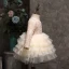 Affordable Champagne Birthday Flower Girl Dresses 2020 Ball Gown Scoop Neck Long Sleeve Braid Short Cascading Ruffles