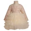 Affordable Champagne Birthday Flower Girl Dresses 2020 Ball Gown Scoop Neck Long Sleeve Braid Short Cascading Ruffles
