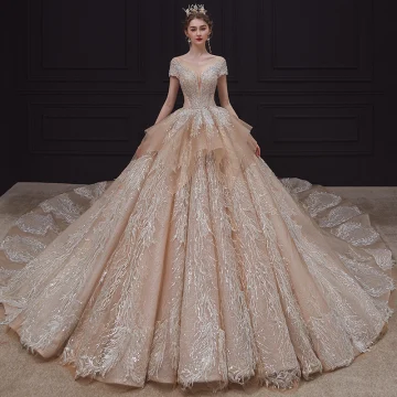 Luxe Champagne La Mariée Robe De Mariée 2020 Robe Boule Transparentes Encolure Dégagée Manches Courtes Dos Nu Appliques En Dentelle Paillettes Perlage Faux Diamant Royal Train Volants